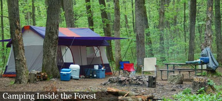 Fortnight camping in a Jungle